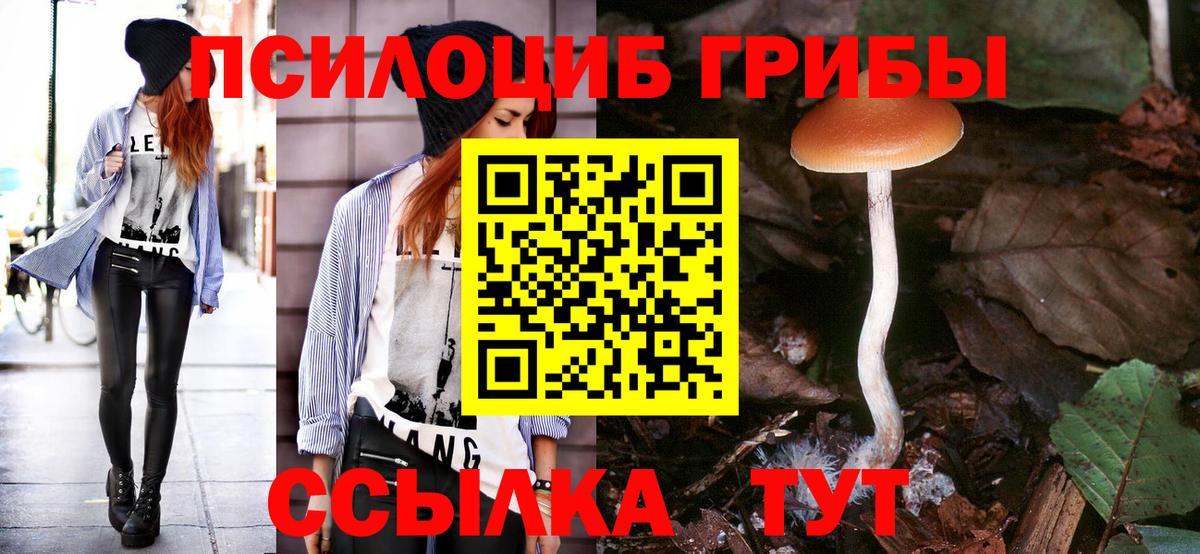 Комсомольск-на-Амуре  Галлюциногенные грибы Psilocybe  где найти наркотики  Вход с VPN 
