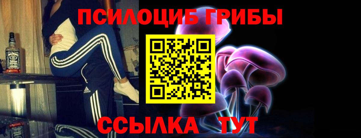 Галлюциногенные грибы Psilocybine cubensis Комсомольск-на-Амуре
